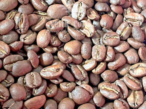 EXOTIC Peruvian roasted coffee beans – Red Bourbon Arabica, medium roast